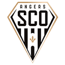 Angers badge
