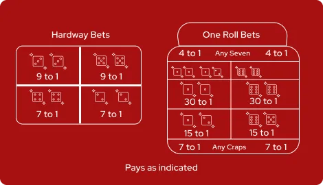 Craps - Any Craps Bets