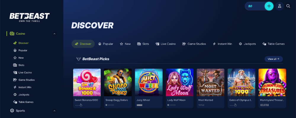 Using the BetBeast Casino Website