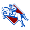 Courses de chevaux
