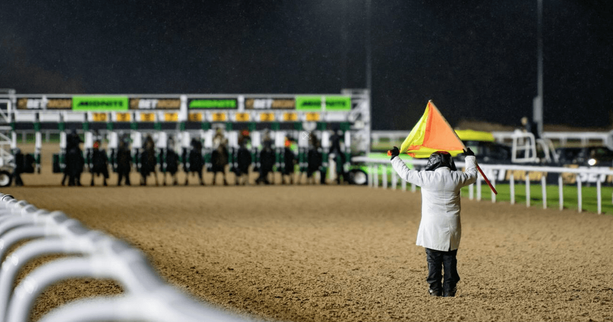 All-Weather Racing Explained: The Tracks, Surfaces And Why It Is Vital