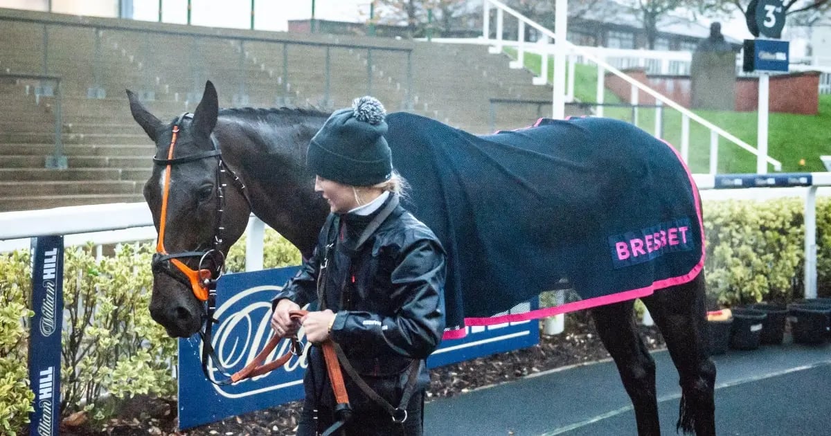 UK Gambling Commission Suspends BresBet And Bet St George Licences