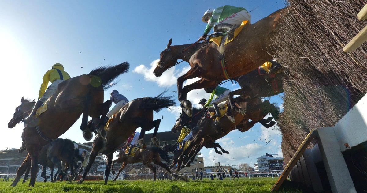 Jump Racing Returns: Don’t Miss These Meetings