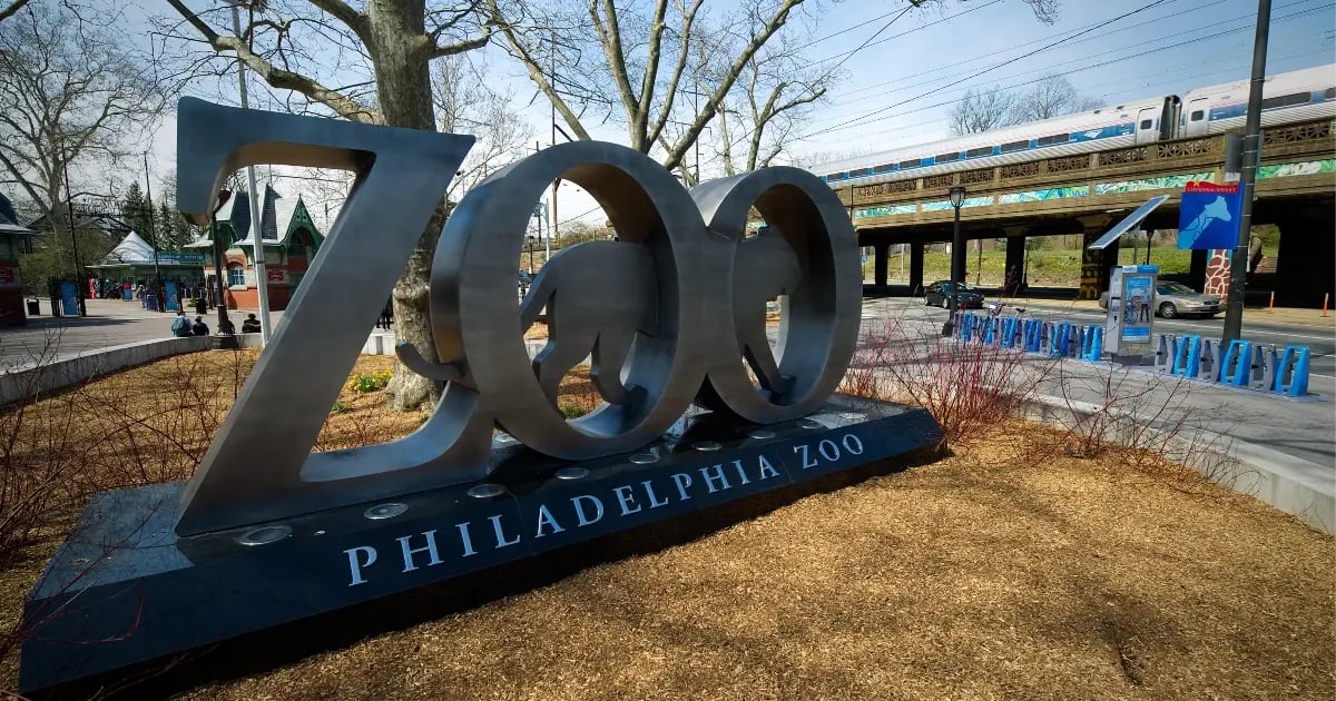 FanDuel Zoo Perk For VIP Customers Draws Pennsylvania Regulator Interest