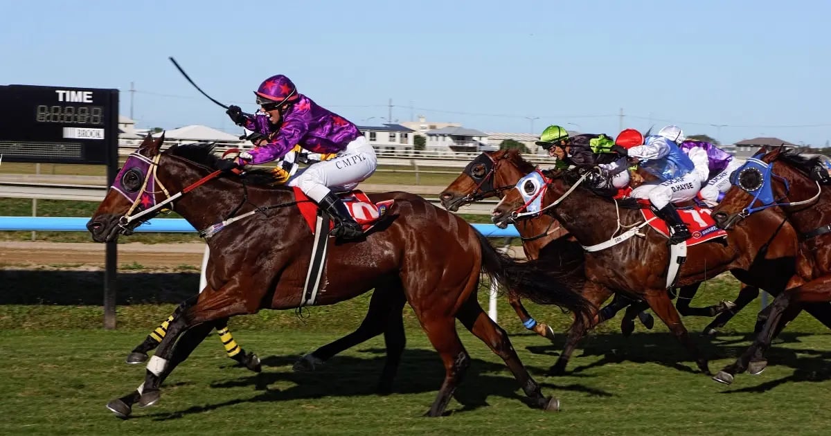 Queensland To Bring Racing Integrity Watchdog Under One Authority