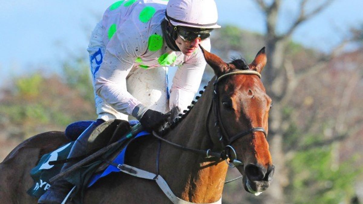David Mullins: Why Chacun Pour Soi is Made for Cheltenham David Mullins: Why Chacun Pour Soi is Made for Cheltenham