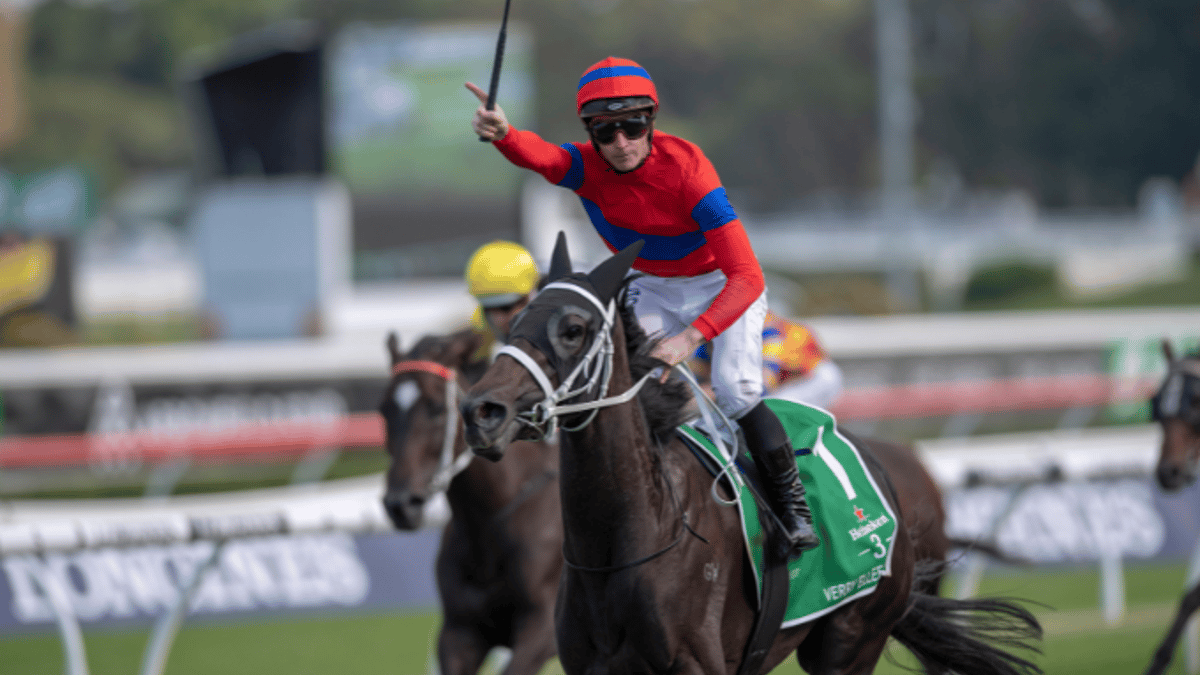 Verry Elleegant: Melbourne Cup Result a Huge Win For Bookies Verry Elleegant: Melbourne Cup Result a Huge Win For Bookies