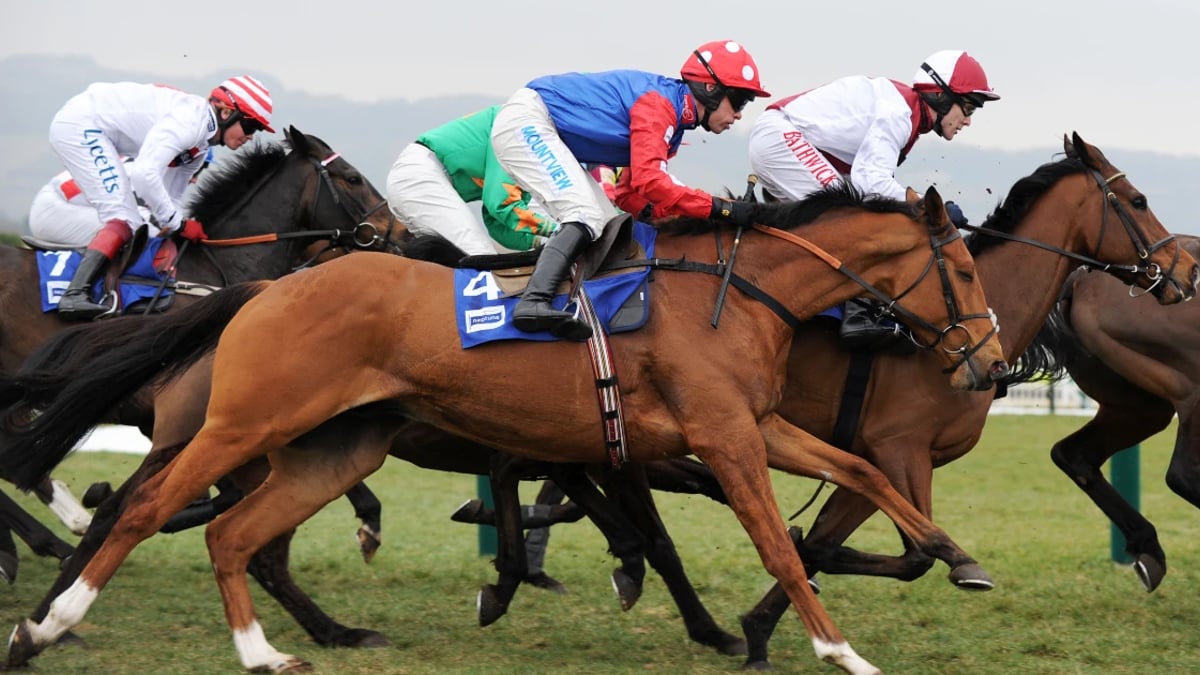 Bet On Cheltenham: The Best Races To Follow At The 2025 Festival Bet On Cheltenham: The Best Races To Follow At The 2025 Festival