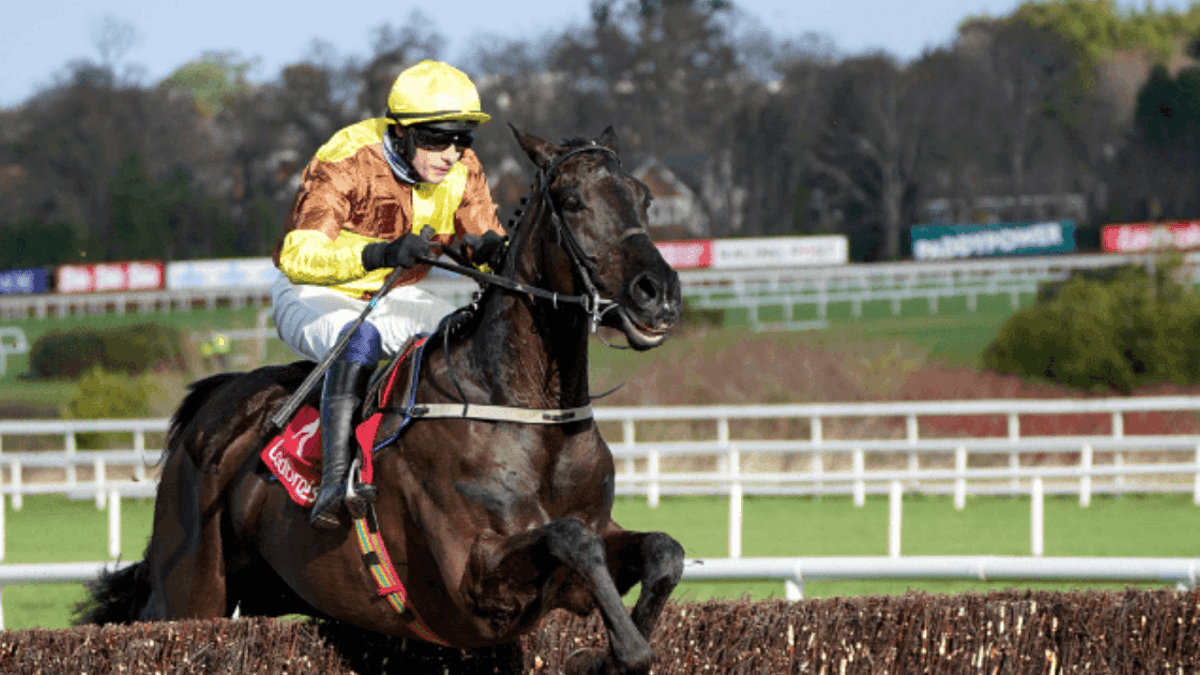 Which Race will Galopin Des Champs Run In At The Cheltenham Festival? Which Race will Galopin Des Champs Run In At The Cheltenham Festival?
