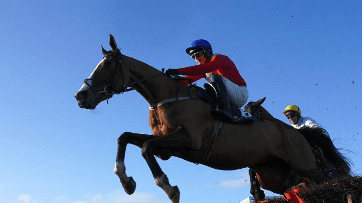 Will Sir Gerhard go Supreme or Ballymore at the Cheltenham Festival? Will Sir Gerhard go Supreme or Ballymore at the Cheltenham Festival?