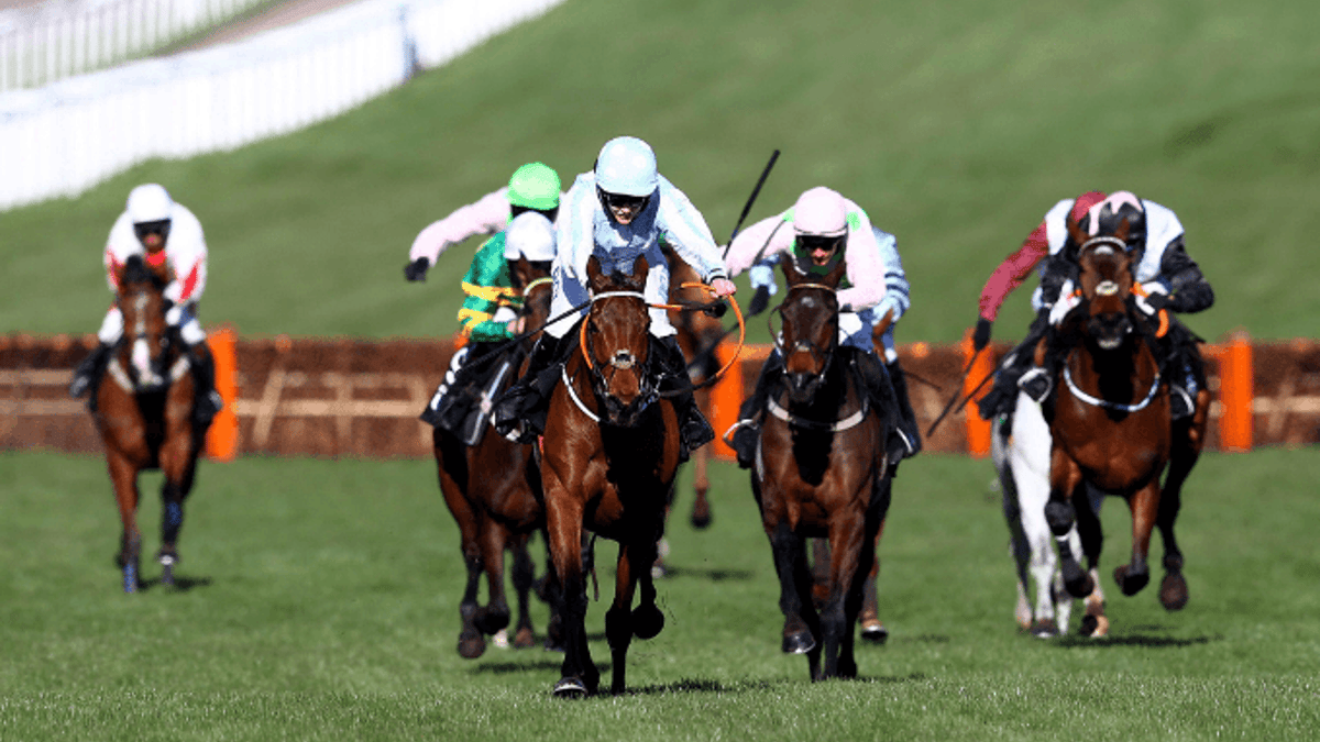 Cheltenham Tips: Champion Hurdle Preview For Day 1 at Cheltenham Festival Cheltenham Tips: Champion Hurdle Preview For Day 1 at Cheltenham Festival