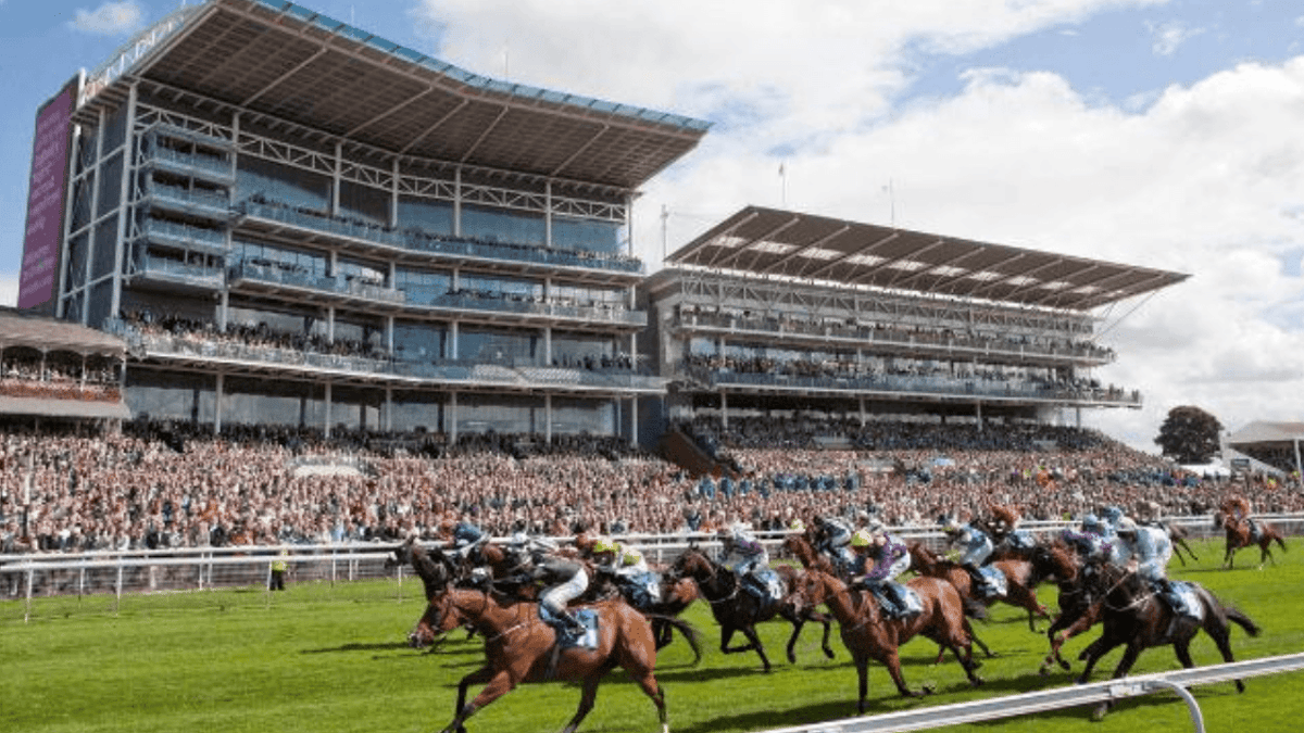 York Ebor Festival Tips: What To Bet On At This Week's Meeting York Ebor Festival Tips: What To Bet On At This Week's Meeting