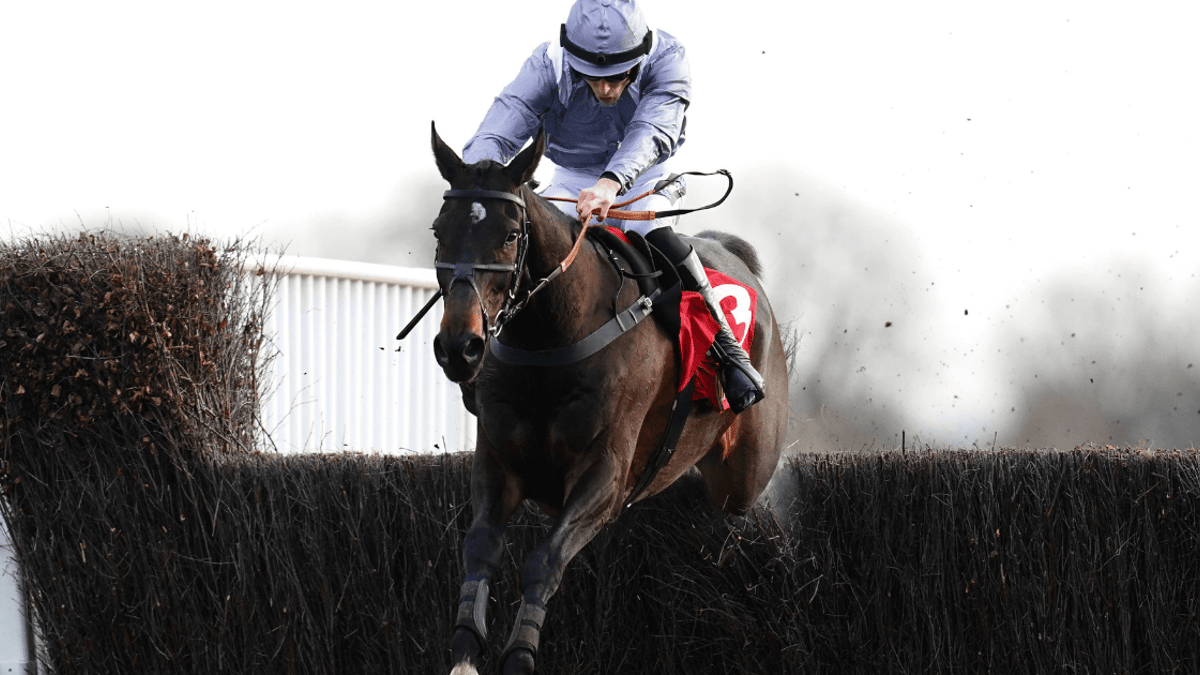 King George Chase Betting Tips, Odds & Analysis King George Chase Betting Tips, Odds & Analysis