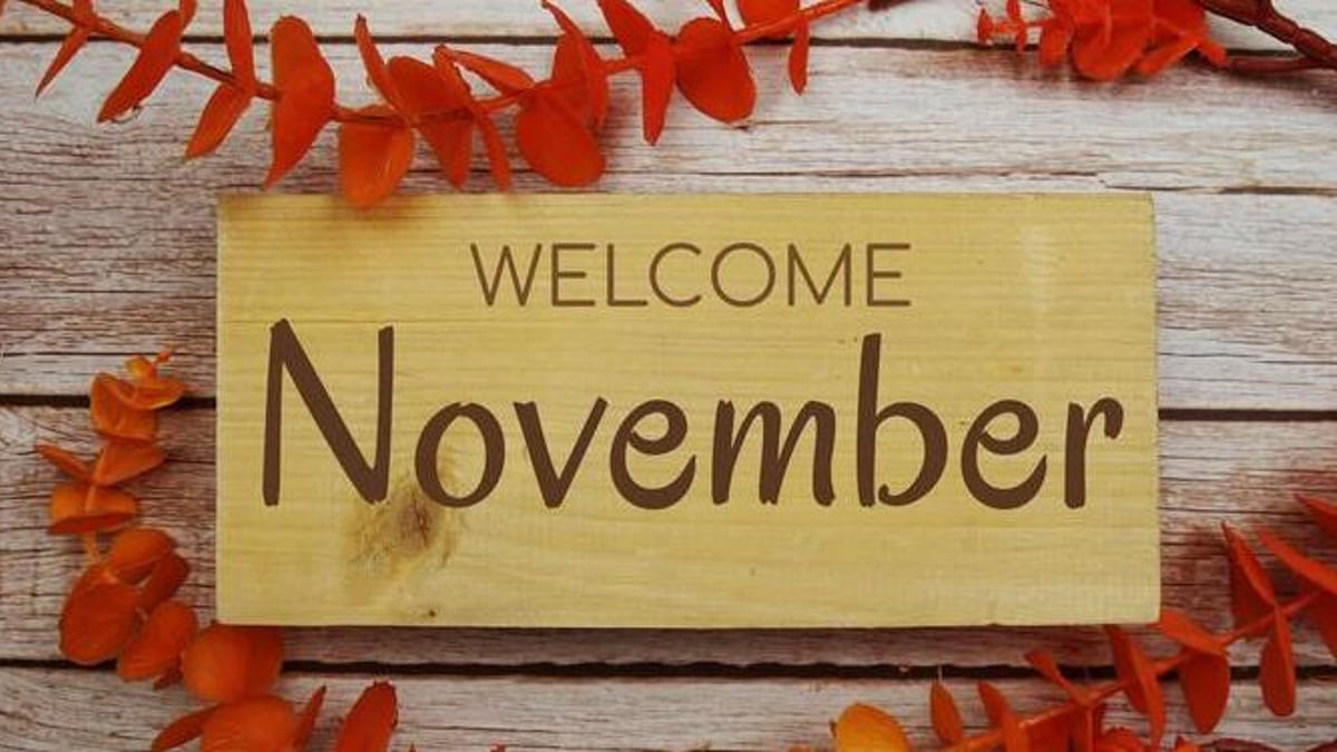 Casinò Online - Migliori Promozioni a Novembre Casinò Online - Migliori Promozioni a Novembre