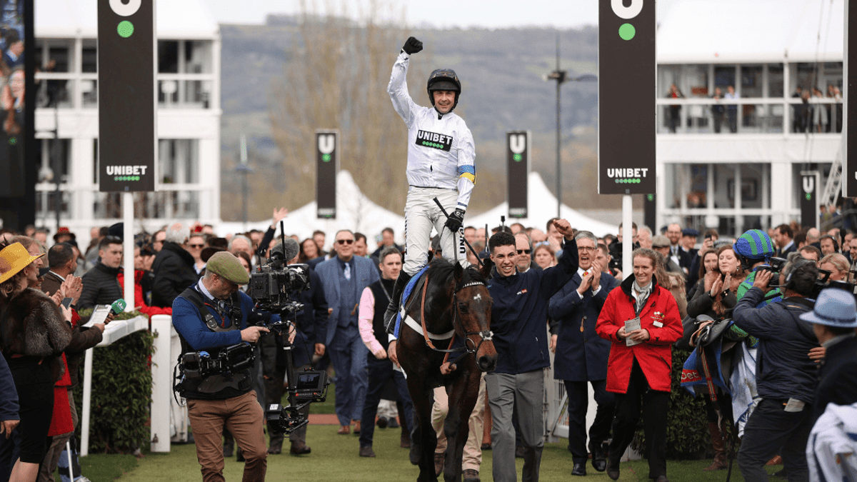 Cheltenham Festival 2024: Can Anything Stop Constitution Hill in the Champion Hurdle? Cheltenham Festival 2024: Can Anything Stop Constitution Hill in the Champion Hurdle?