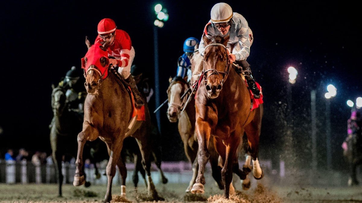 Ranking the Most Important Kentucky Derby Prep Races Ranking the Most Important Kentucky Derby Prep Races
