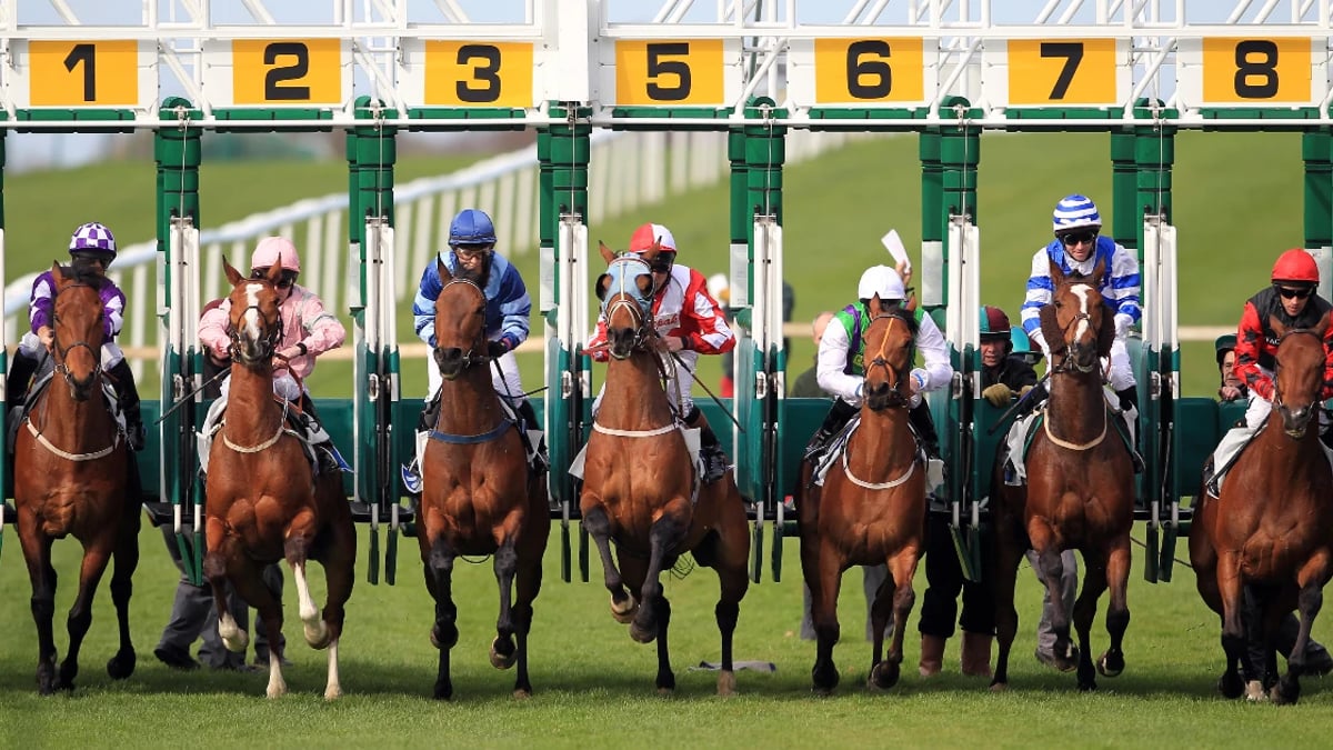 Horse Racing Tips: Today's Predictions & Best Bets At Kempton Horse Racing Tips: Today's Predictions & Best Bets At Kempton