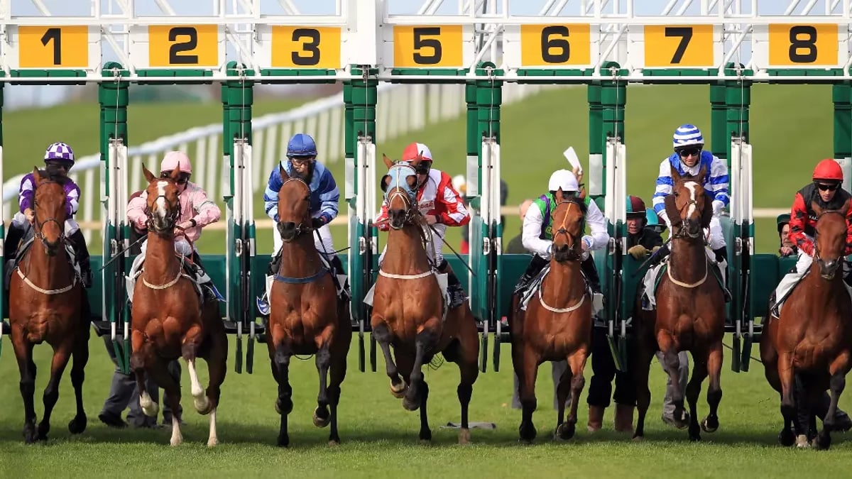 Horse Racing Tips: Best Betting Tips for Friday Horse Racing Tips: Best Betting Tips for Friday