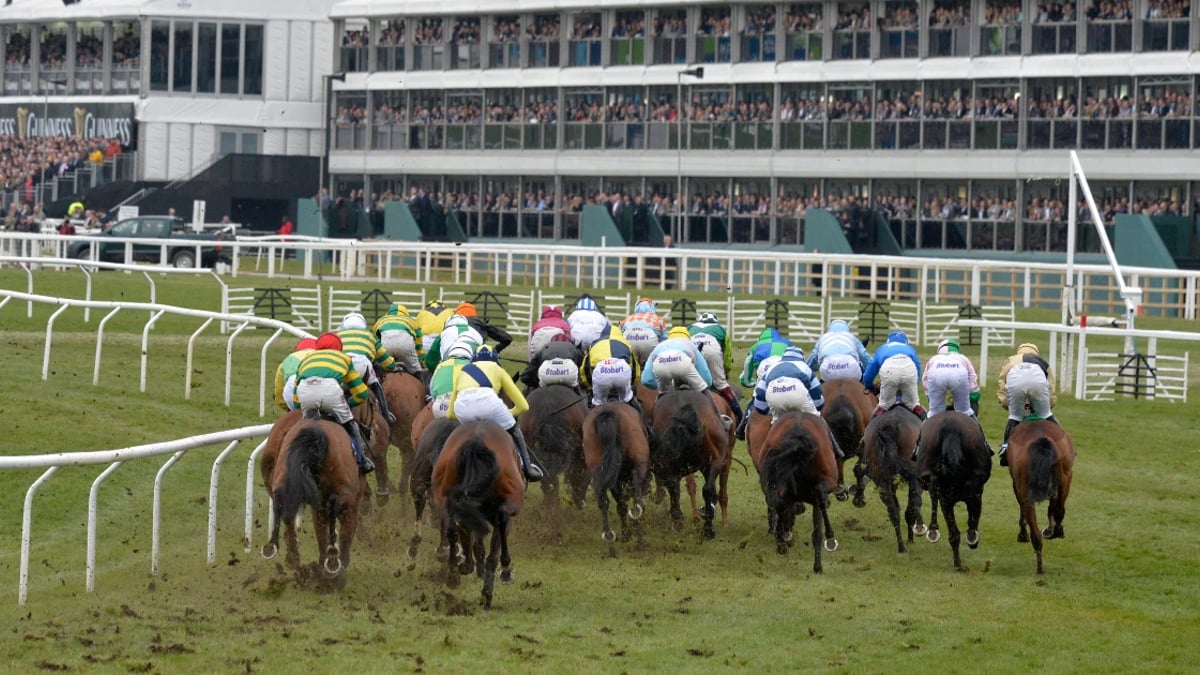 Cheltenham Preview: David Mullins’ 2023 Festival Tips & Analysis Cheltenham Preview: David Mullins’ 2023 Festival Tips & Analysis