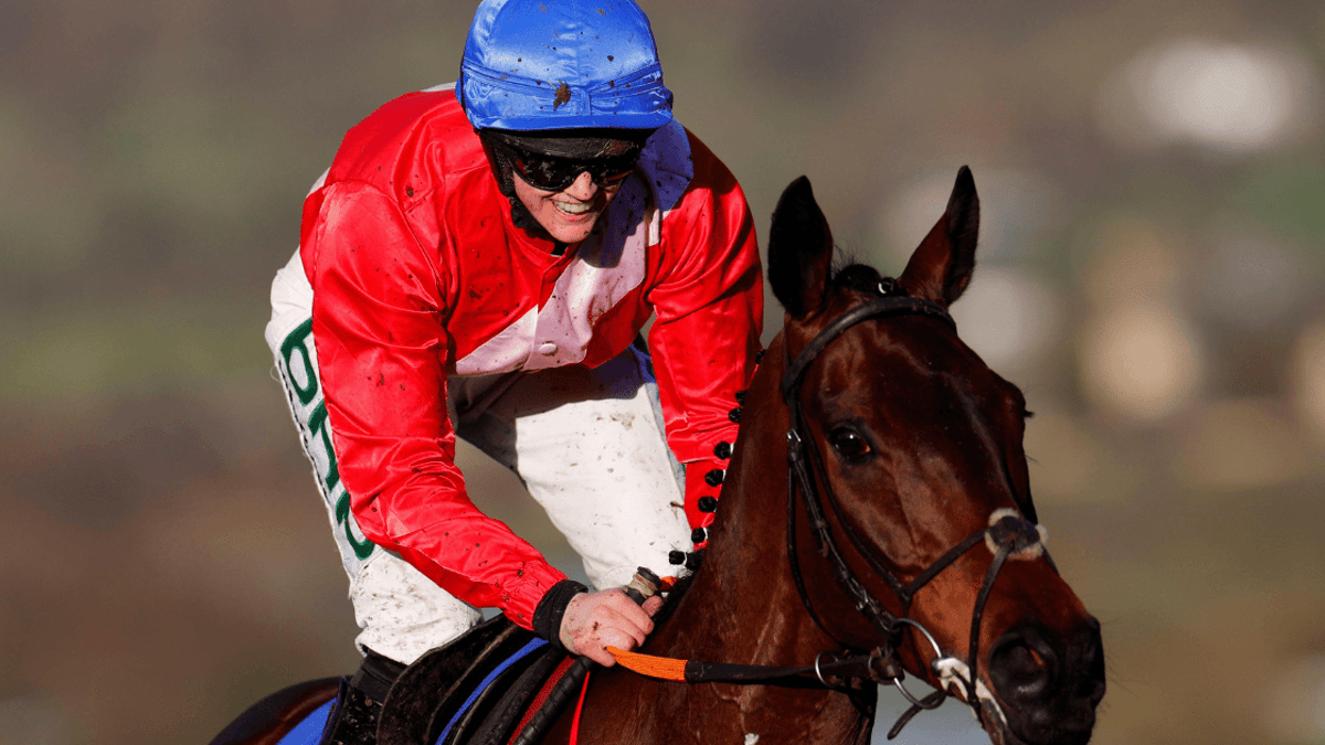 Cheltenham Festival 2023: Rachael Blackmore Horses To Follow Cheltenham Festival 2023: Rachael Blackmore Horses To Follow