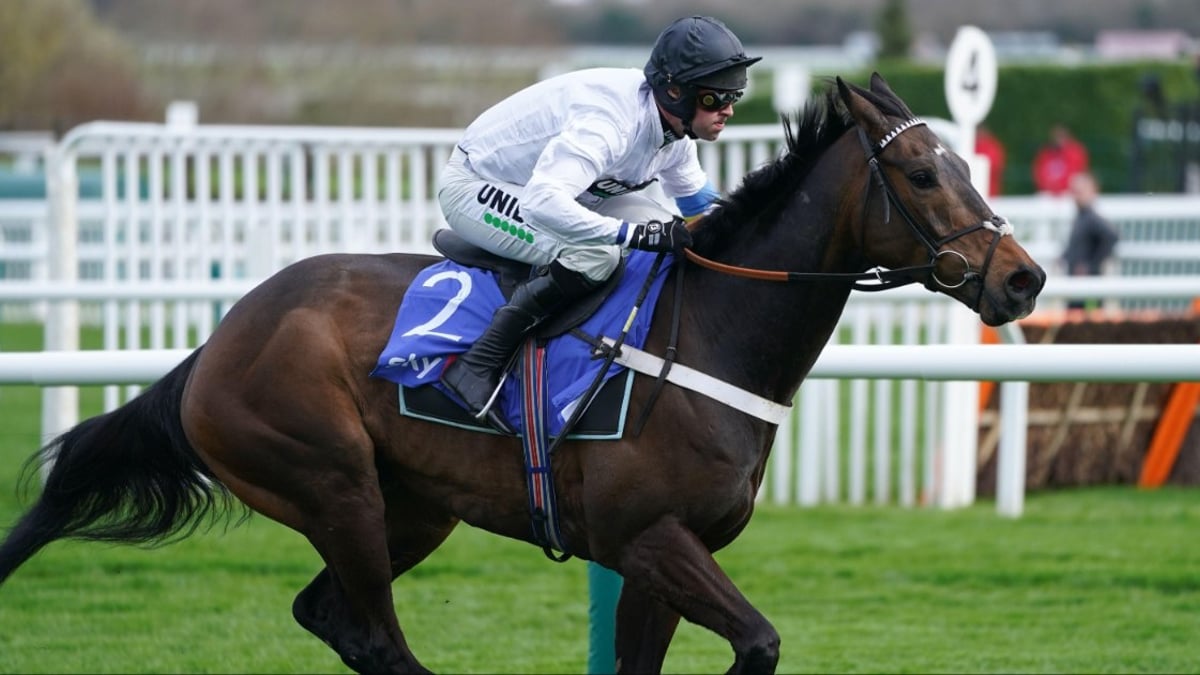 Cheltenham Tips: Champion Hurdle Betting Odds, Preview And Predictions Cheltenham Tips: Champion Hurdle Betting Odds, Preview And Predictions
