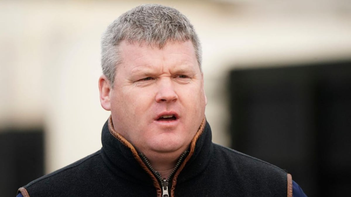 Cheltenham Festival 2023: Gordon Elliott's Horses To Follow At The Festival Cheltenham Festival 2023: Gordon Elliott's Horses To Follow At The Festival