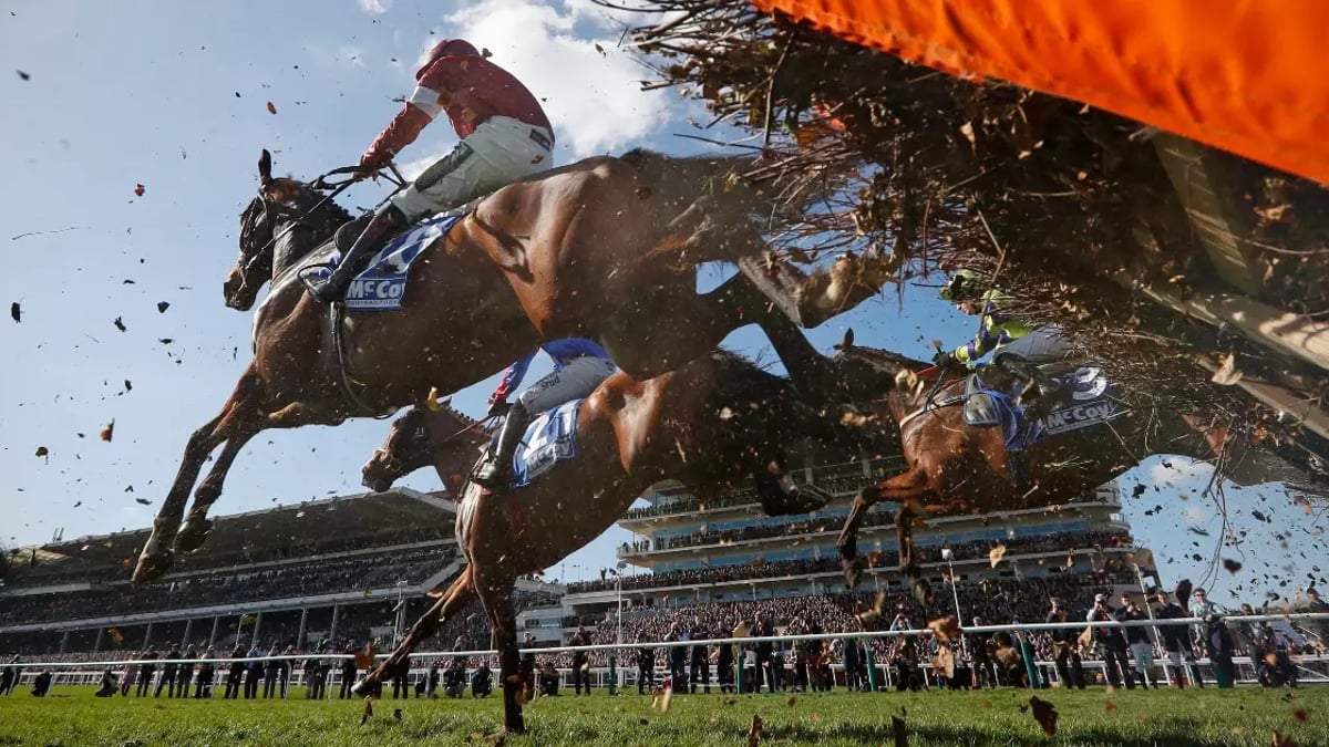 Cheltenham Betting Tips: Best Bets for Day 1 of the Festival Cheltenham Betting Tips: Best Bets for Day 1 of the Festival