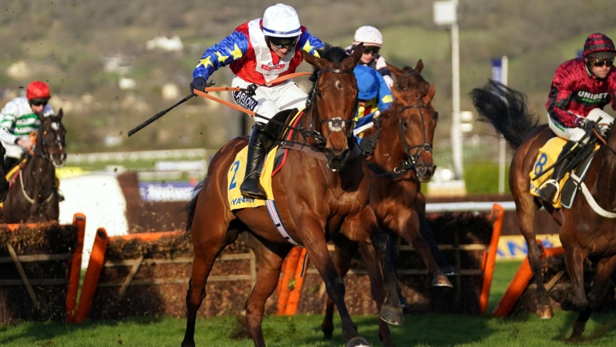 Cheltenham Tips: Our Best Each-Way Bets For Day 1 At The Festival Cheltenham Tips: Our Best Each-Way Bets For Day 1 At The Festival