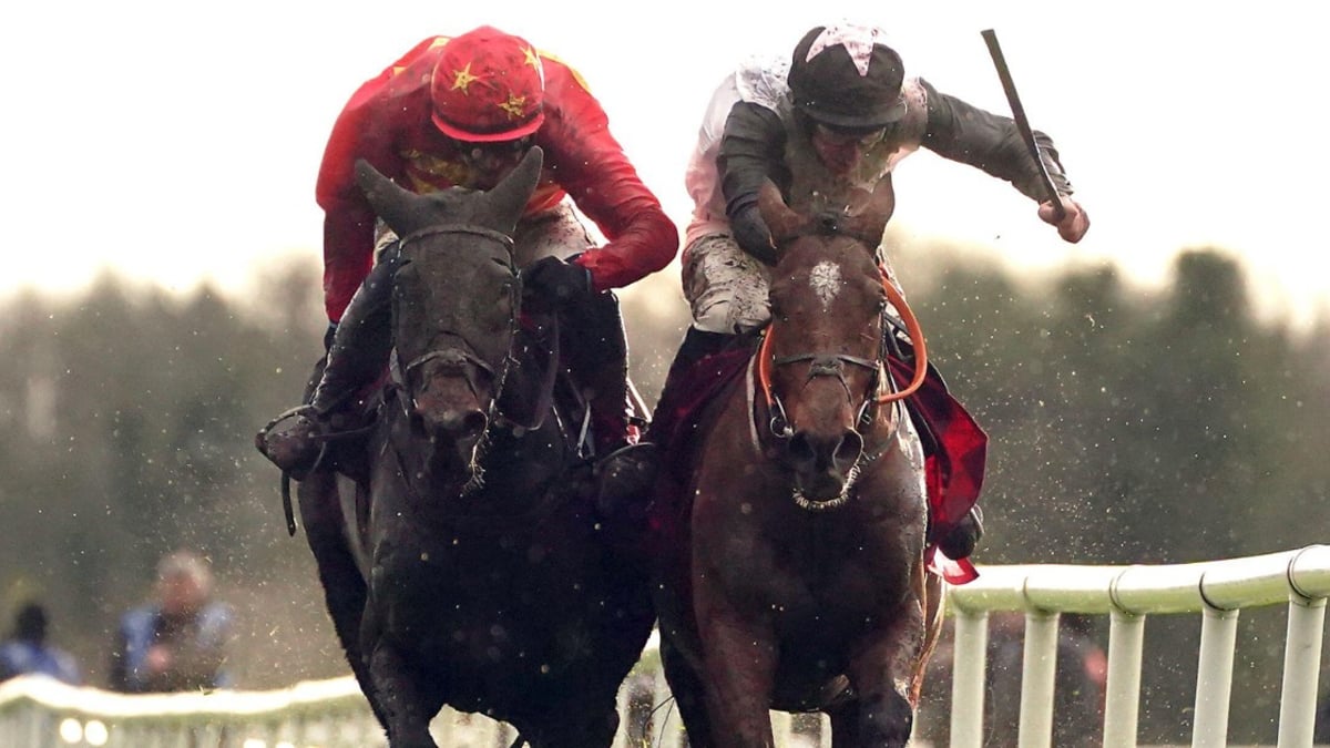 Cheltenham Tips: The Best Each-Way Bets For Today's Racing Cheltenham Tips: The Best Each-Way Bets For Today's Racing