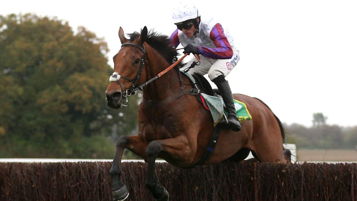 Cheltenham Tips: The Best Each-Way Bets For Today’s Festival Action Cheltenham Tips: The Best Each-Way Bets For Today’s Festival Action