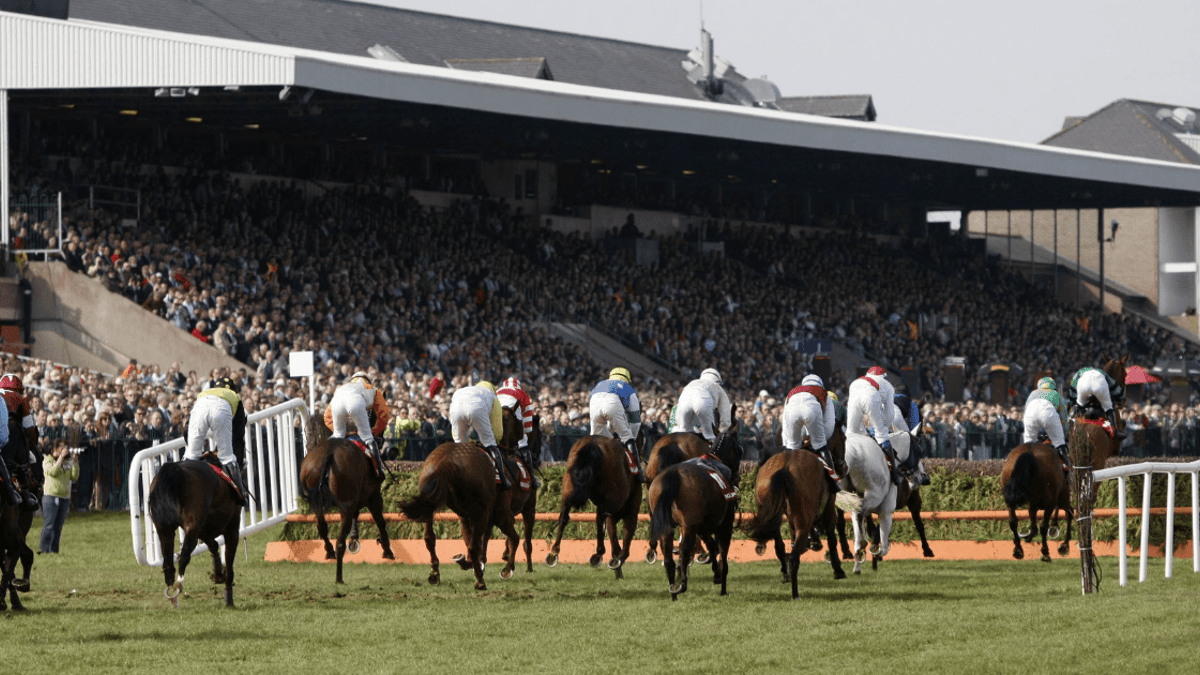 Punchestown Tips: Our Best Bets For Day 1 At The Festival Punchestown Tips: Our Best Bets For Day 1 At The Festival