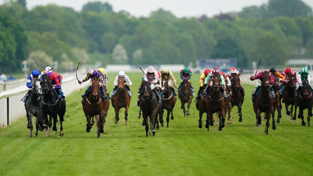 Horse Racing Betting: Donn McClean’s Horses To Follow Horse Racing Betting: Donn McClean’s Horses To Follow