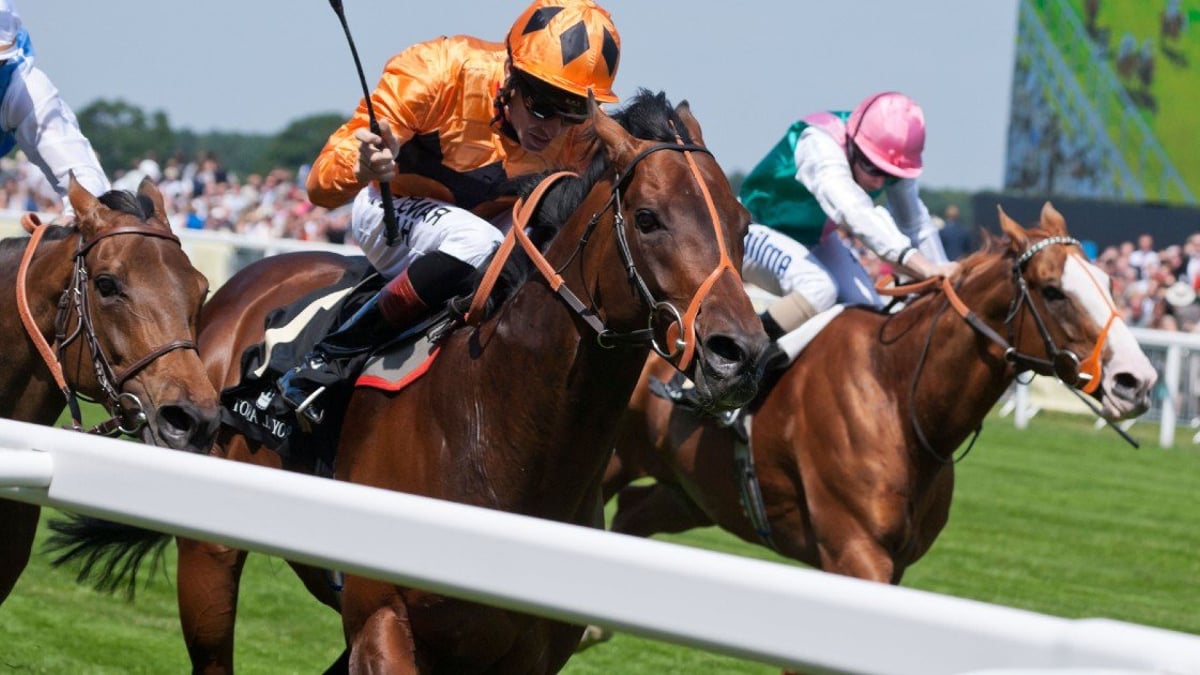 Royal Ascot 2023: Wedtips en voorspellingen Royal Ascot 2023: Wedtips en voorspellingen