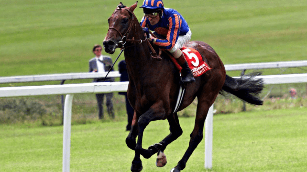 Horse Racing Betting: Donn McClean’s Five Most Memorable Irish Derbys Horse Racing Betting: Donn McClean’s Five Most Memorable Irish Derbys