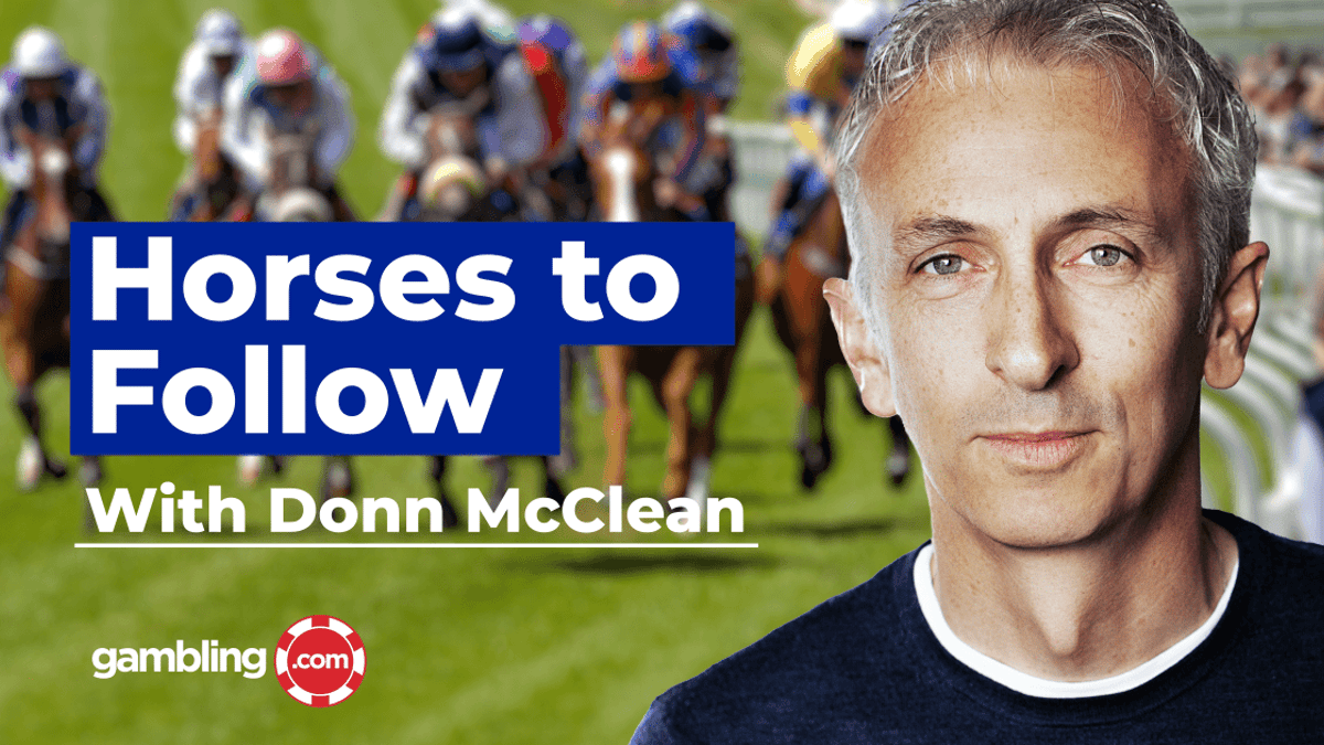 Donn McClean's Horses To Follow: January 2nd to January 8th Donn McClean's Horses To Follow: January 2nd to January 8th