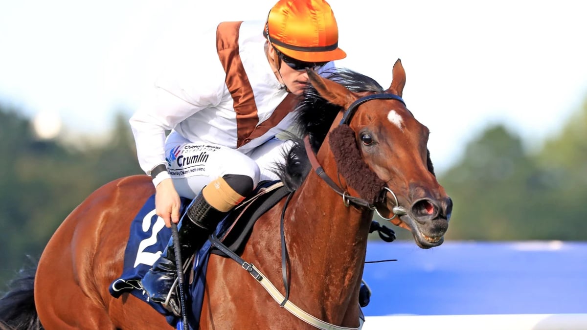 Europeans to Note for the 2021 Breeders’ Cup Europeans to Note for the 2021 Breeders’ Cup