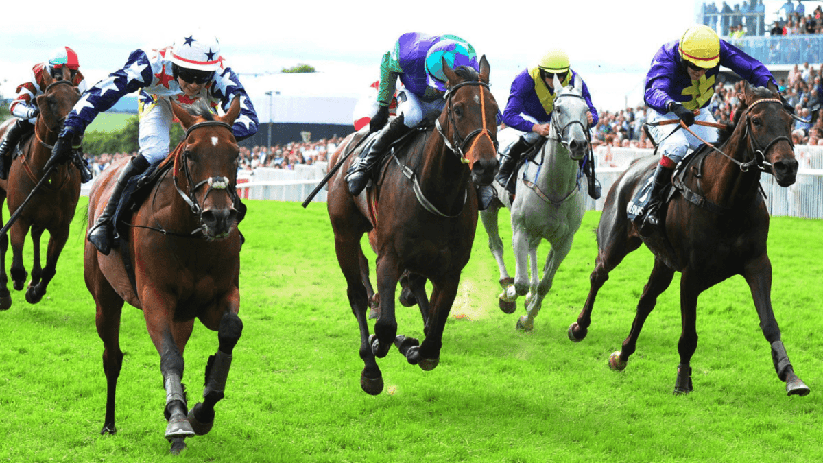 Horse Racing Betting: Donn McClean’s Three Most Memorable Ebor Winners Horse Racing Betting: Donn McClean’s Three Most Memorable Ebor Winners