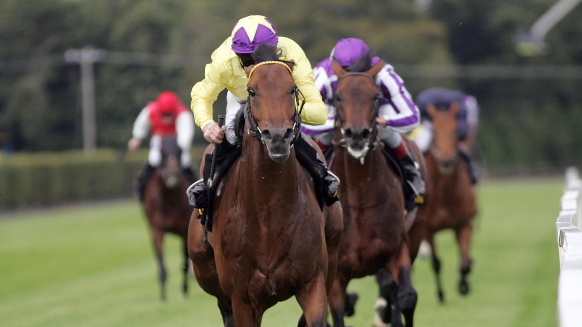 Horse Racing Betting: Donn McClean’s Three Most Memorable Irish Champion Stakes Winners Horse Racing Betting: Donn McClean’s Three Most Memorable Irish Champion Stakes Winners
