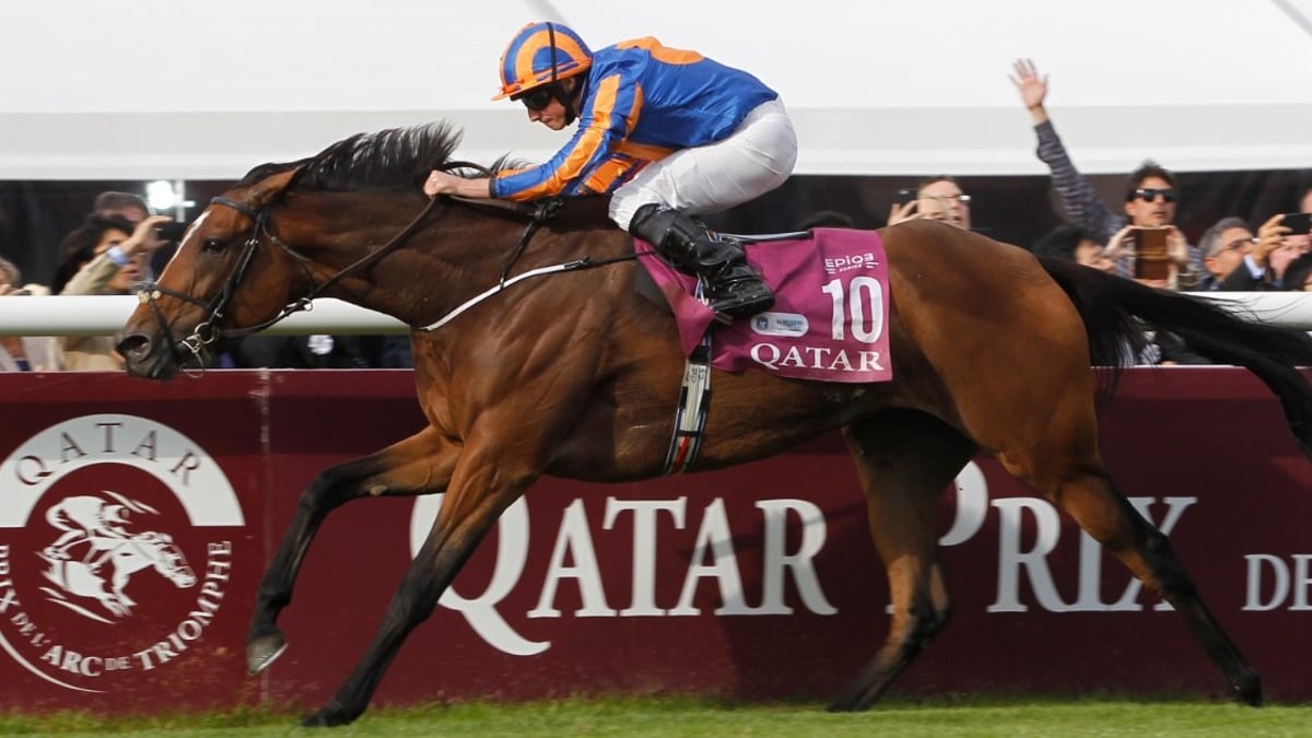 Donn McClean’s 5 Most Significant Renewals Of The Prix De l’Arc De Triomphe Donn McClean’s 5 Most Significant Renewals Of The Prix De l’Arc De Triomphe