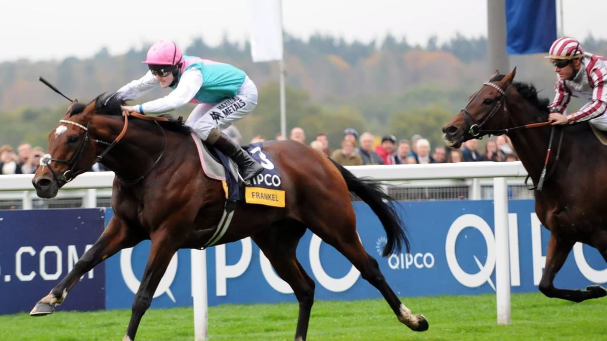 Horse Racing Betting: Donn McClean’s Three Most Memorable Champion Stakes Winners Horse Racing Betting: Donn McClean’s Three Most Memorable Champion Stakes Winners