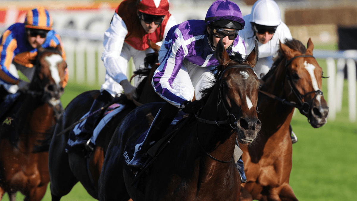 Horse Racing Betting: Donn McClean’s Three Of The Best Futurity Trophy Winners Horse Racing Betting: Donn McClean’s Three Of The Best Futurity Trophy Winners