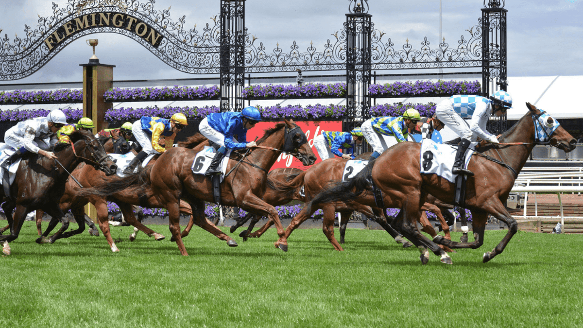 Melbourne Cup Tips: Best Bets, Odds & Analysis Melbourne Cup Tips: Best Bets, Odds & Analysis