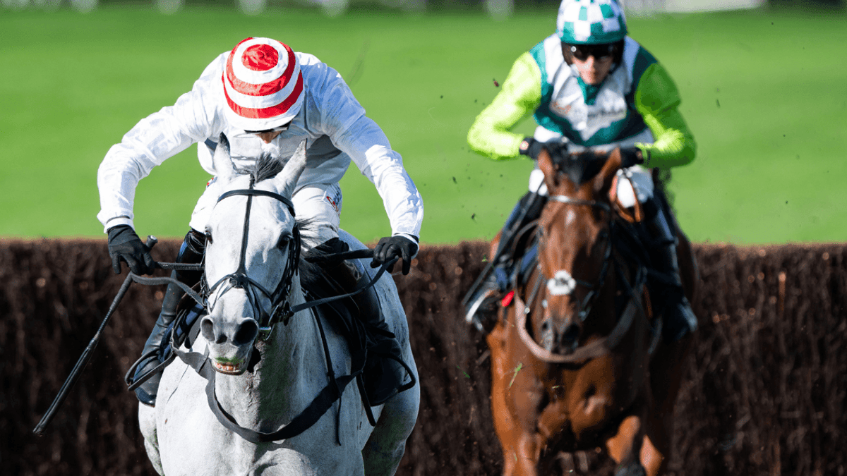 Horse Racing Tips: Best Betting Tips & Odds for Saturday Horse Racing Tips: Best Betting Tips & Odds for Saturday