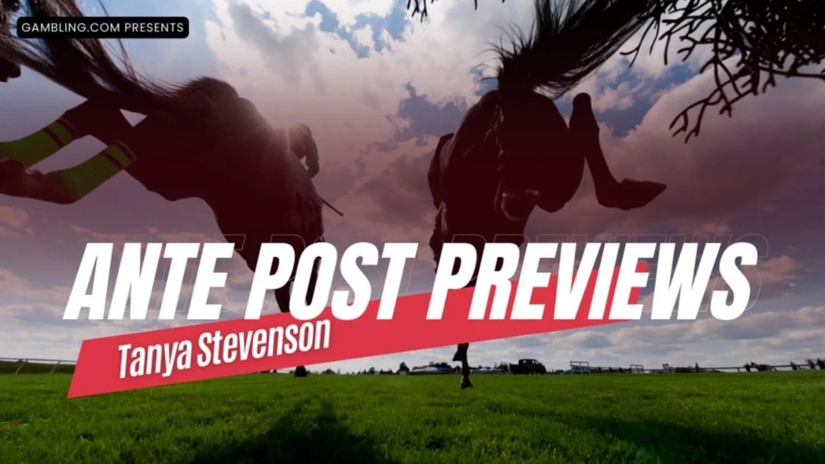 Tanya Stevenson: Petite Tonnerre Progressing In The Right Direction Tanya Stevenson: Petite Tonnerre Progressing In The Right Direction
