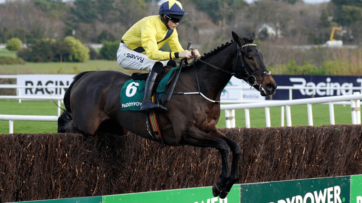 Donn McClean Takes A Closer Look At The Novice Chase Divisions Donn McClean Takes A Closer Look At The Novice Chase Divisions