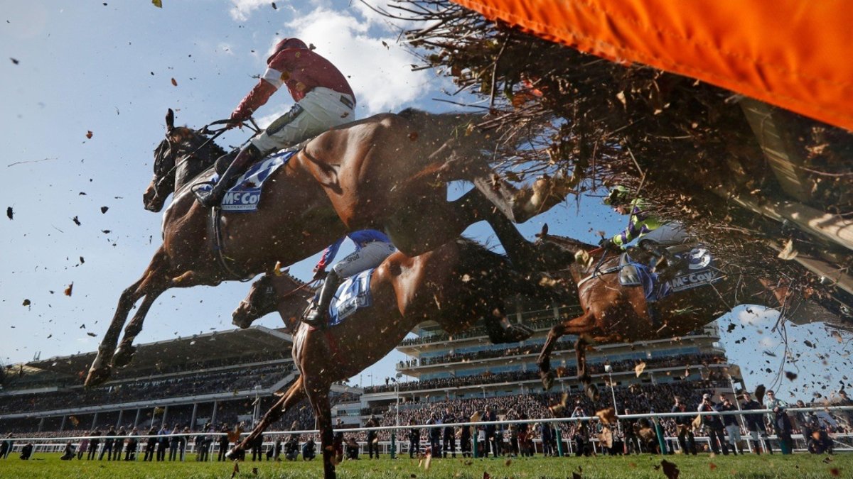Horse Racing Terms Explained: A-Z Glossary For Racing Punters Horse Racing Terms Explained: A-Z Glossary For Racing Punters