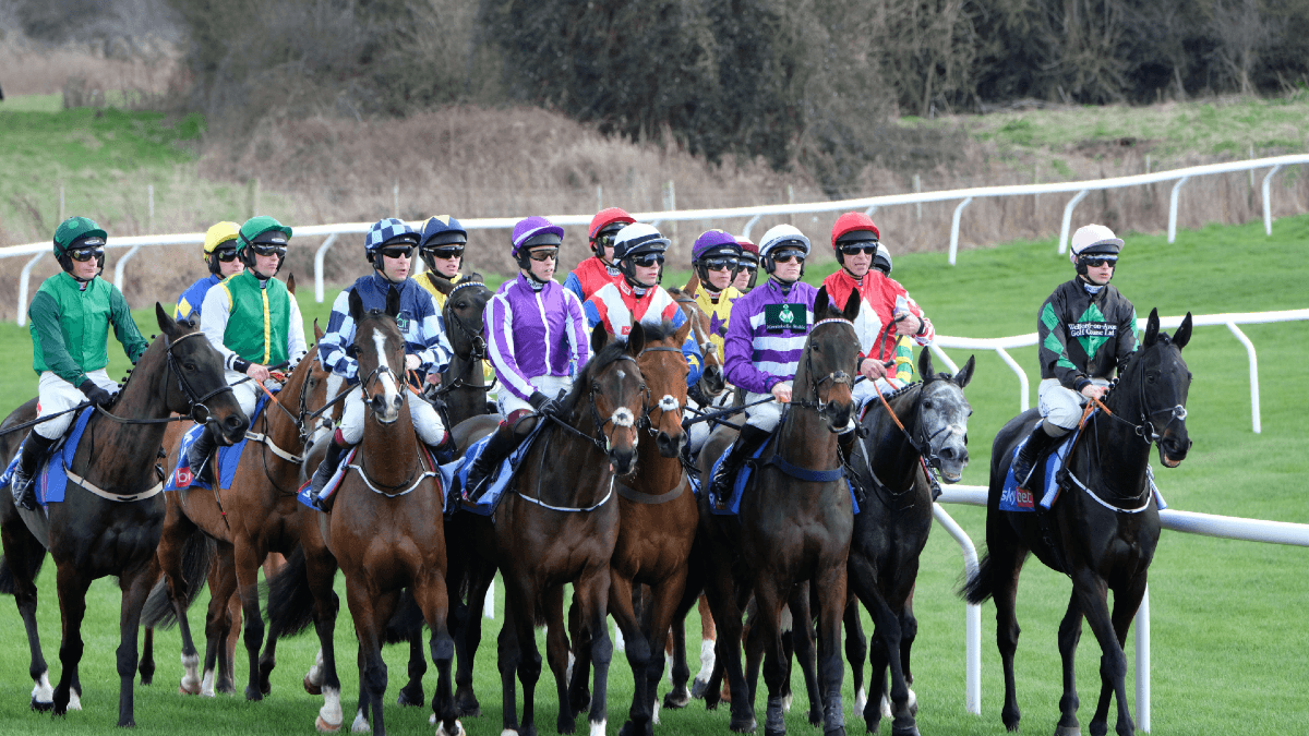 ‘The Edge’ Asks Americans What They Know About The Cheltenham Festival. Answer: ‘The What?’ ‘The Edge’ Asks Americans What They Know About The Cheltenham Festival. Answer: ‘The What?’