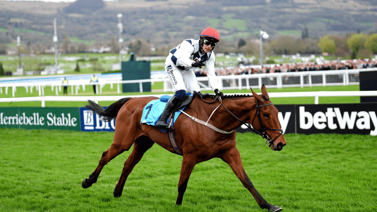 Donn McClean: There Is Only So Far You Can Push The Cheltenham Festival Without Going Over The Edge Donn McClean: There Is Only So Far You Can Push The Cheltenham Festival Without Going Over The Edge