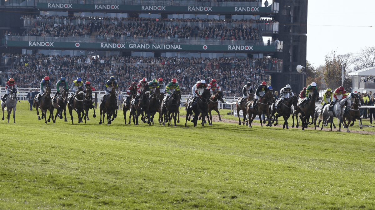 British Racing Launches New Welfare Campaign British Racing Launches New Welfare Campaign