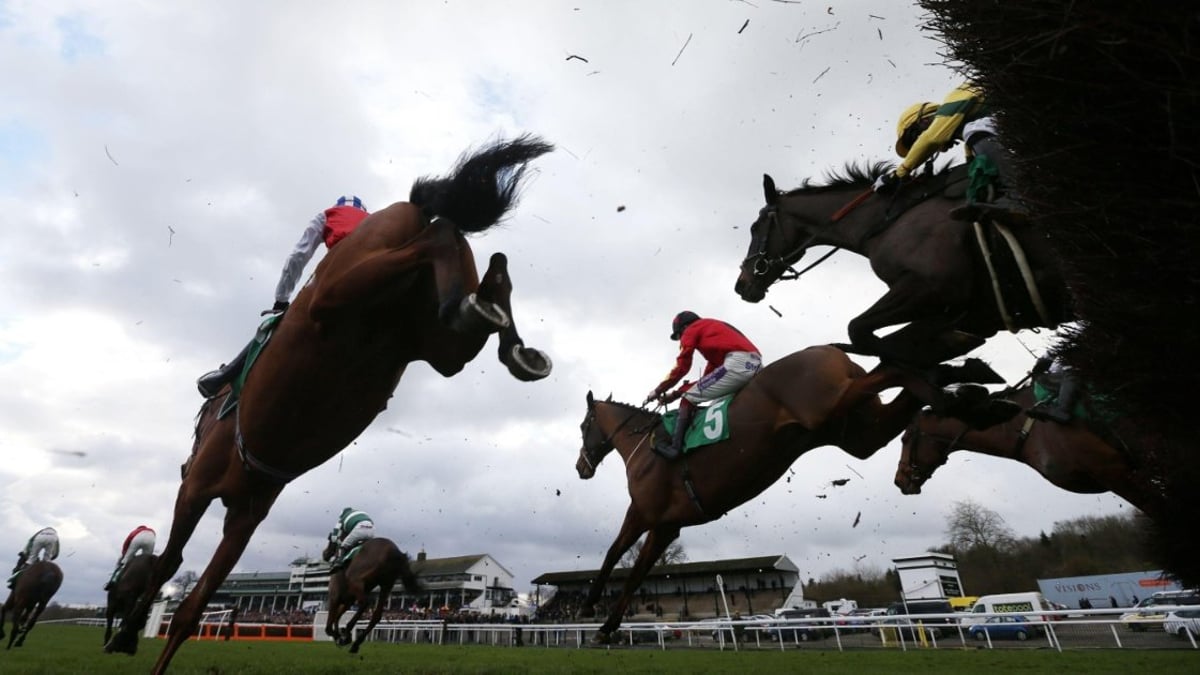 Horse Racing Tips: Tanya Stevenson's 3 Best Bets For Chepstow On Saturday Horse Racing Tips: Tanya Stevenson's 3 Best Bets For Chepstow On Saturday